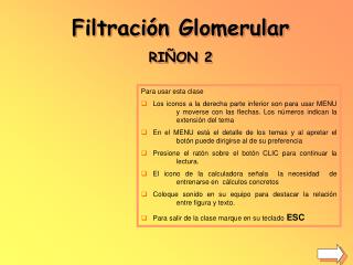 Filtración Glomerular RIÑON 2