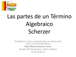 Las partes de un Término Algebraico Scherzer