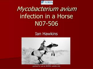 Mycobacterium avium infection in a Horse N07-506