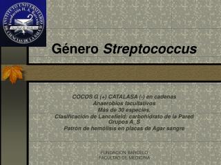 Género Streptococcus