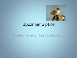 Upo z najmo ptice