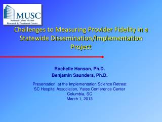 Challenges to Measuring Provider Fidelity in a Statewide Dissemination/Implementation Project