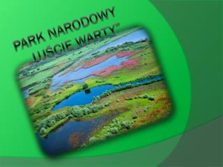 Park Narodowy „Ujście Warty”