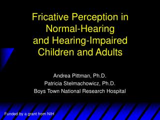 Fricative Perception in Normal-Hearing and Hearing-Impaired Children and Adults