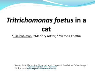 Tritrichomonas foetus in a cat