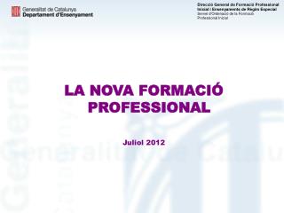 LA NOVA FORMACIÓ PROFESSIONAL Juliol 2012