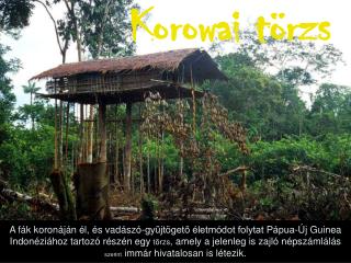 Korowai törzs