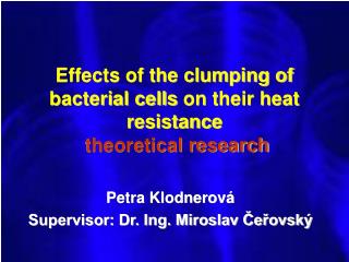 Effects of the clumping of bacterial cells on their heat resistance theoretical research