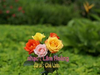 nhạc : Lâm Hoàng