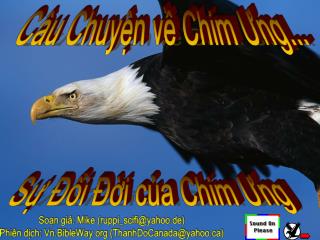 Câu Chuyện về Chim Ưng...