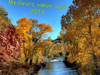 Meilleurs vœux pour 2012