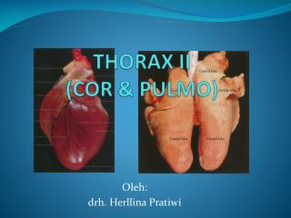 THORAX II (COR &amp; PULMO)