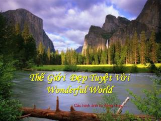 Thế Giới Đẹp Tuyệt Vời Wonderful World