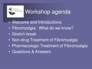 Workshop agenda