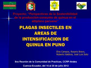 PLAGAS INSECTILES EN AREAS DE INTENSIFICACION DE QUINUA EN PUNO