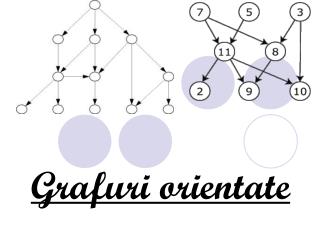 Grafuri orientate