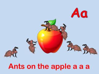 Ants on the apple a a a