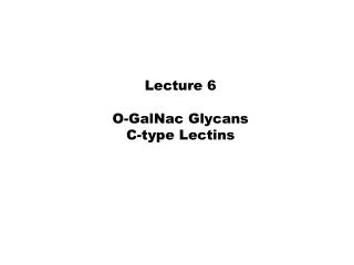 Lecture 6 O-GalNac Glycans C-type Lectins