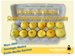 Cáncer de Mama Quimioterapia Adyuvante