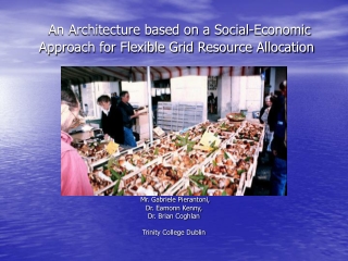 An Architecture based on a Social-Economic Approach for Flexible Grid Resource Allocation