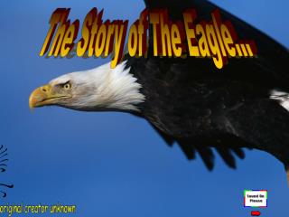The Story of The Eagle…