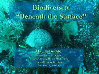 Biodiversity “Beneath the Surface”