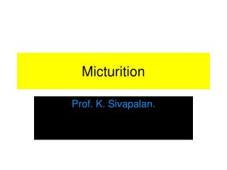 Micturition