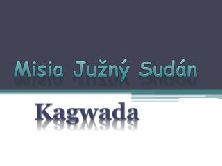 Misia Južný Sudán