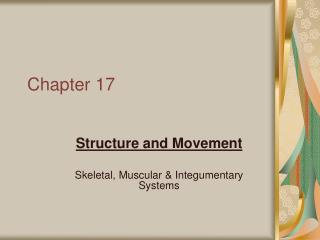 Chapter 17