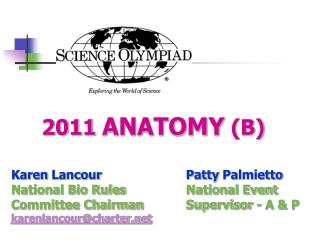 2011 ANATOMY (B)