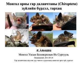 Æ.Àðèóíáîëä Монгол Улсын Боловсролын Их Сургууль Óëààíáààòàð, 2011.05.24
