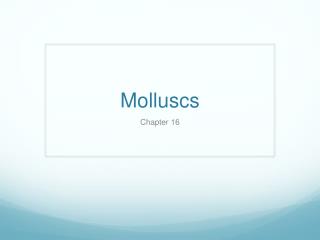 Molluscs