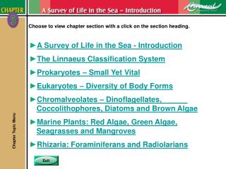 Choose to view chapter section with a click on the section heading.