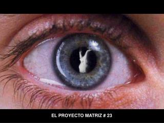 EL PROYECTO MATRIZ # 23