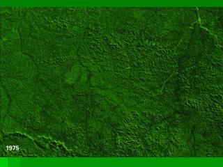 Land Use Conflict in the Amazon Rainforest