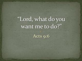 “Lord, what do you want me to do?”