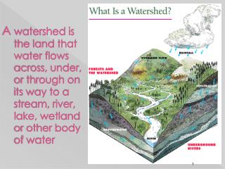 PARTS OF A WATERSHED