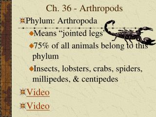 Ch. 36 - Arthropods