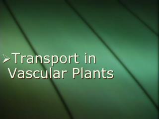 Transport in Vascular Plants