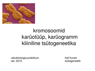 kromosoomid karüotüüp, karüogramm kliiniline tsütogeneetika