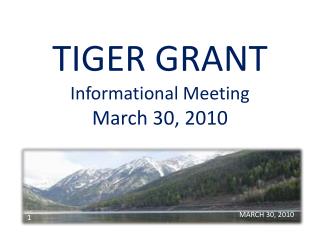 TIGER GRANT Informational Meeting March 30, 2010