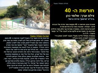 חורשת ה- 40 צילם וערך: שלומי כהן ביה&quot;ס 'שיפמן' טירת כרמל.