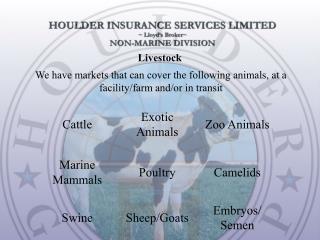Livestock