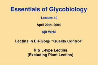 Essentials of Glycobiology Lecture 19 April 29th. 2004 Ajit Varki