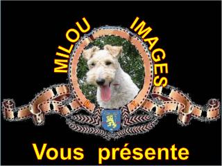 MILOU