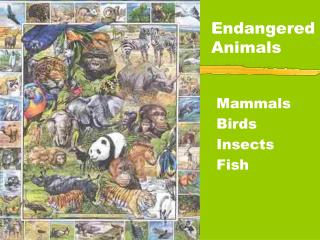 Endangered Animals