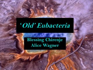 ‘ Old’ Eubacteria