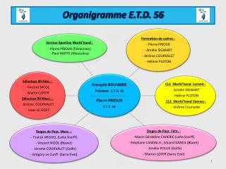 Organigramme E.T.D. 56