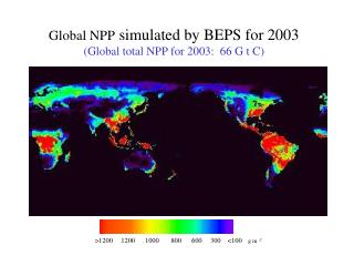Global NPP simulated by BEPS for 2003 (Global total NPP for 2003: 66 G t C)
