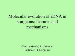 Molecular evolution of rDNA in sturgeons: features and mechanisms